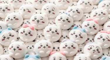 ちいかわぎちぎち詰めが尊い！？グッズ収納＆撮影テク5選